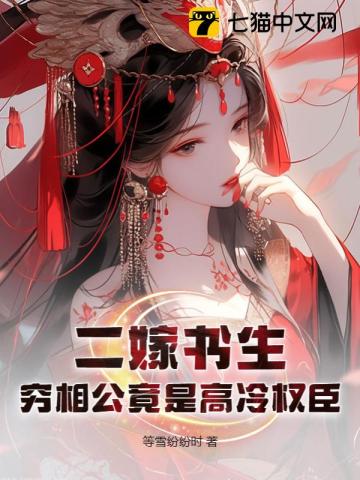 二嫁书生穷相公竟是高冷权臣