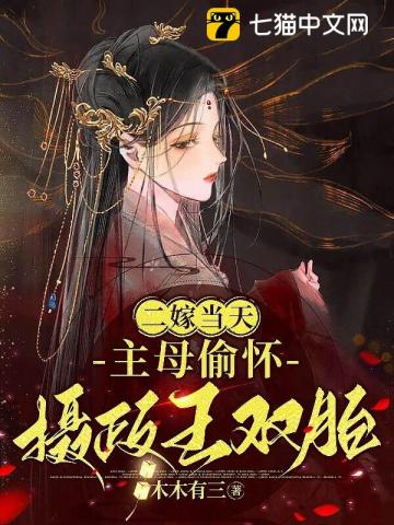 二嫁当天主母偷怀摄政王双胎