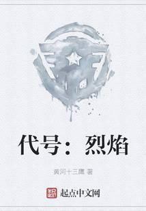 代号烈焰