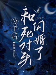分手后和死对头闪婚了