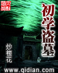 初学盗墓