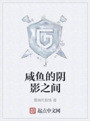 咸鱼的阴影之间
