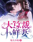 大总裁小鲜妻