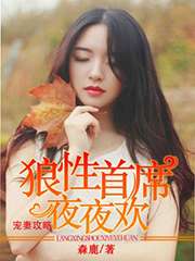 宠妻攻略狼性首席夜夜欢