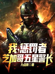 我惩罚者芝加哥五星警长