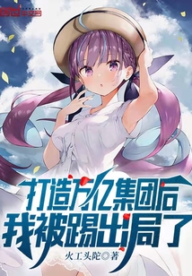 打造万亿集团后我被踢出局了