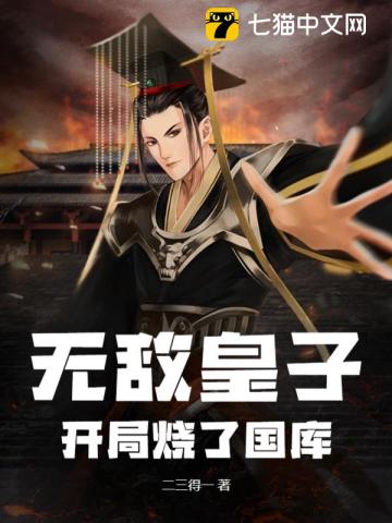 无敌皇子开局烧了国库
