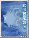 村西惊险幽默小说集