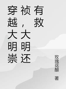 穿越大明崇祯大明还有救