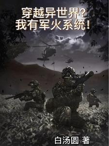 穿越异世界我有军火系统