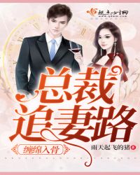 缠绵入骨总裁追妻路