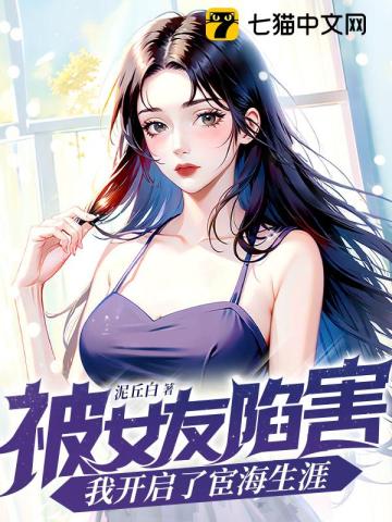 被女友陷害我开启了宦海生涯