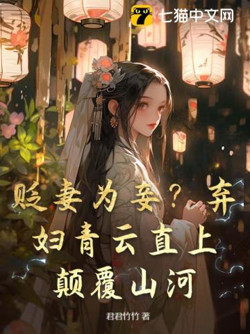 贬妻为妾弃妇青云直上颠覆山河