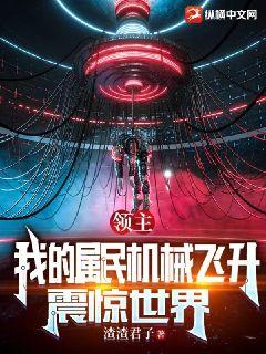 领主我的属民机械飞升震惊世界