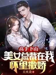 高手下山美女总裁在我怀里撒娇