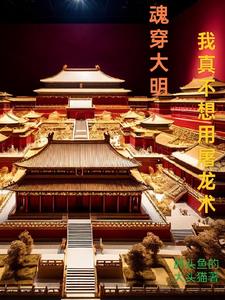 魂穿大明我从西南打到东北